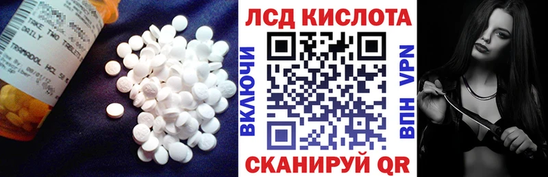 ЛСД экстази ecstasy  купить наркотик  ОМГ ОМГ зеркало  Черняховск 