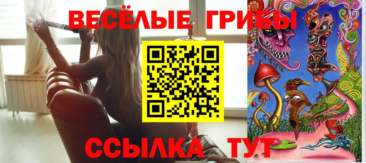 Галлюциногенные грибы Cubensis  Черняховск 