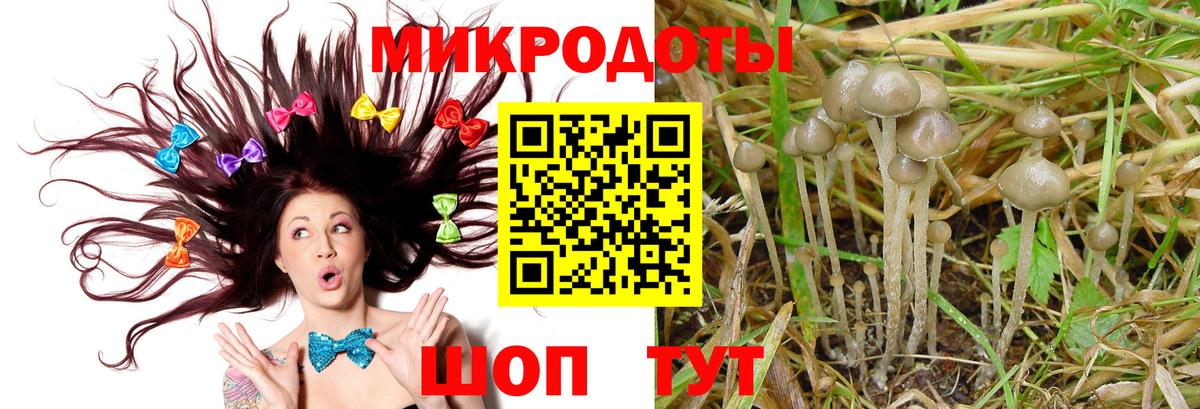 Псилоцибиновые грибы мухоморы Черняховск