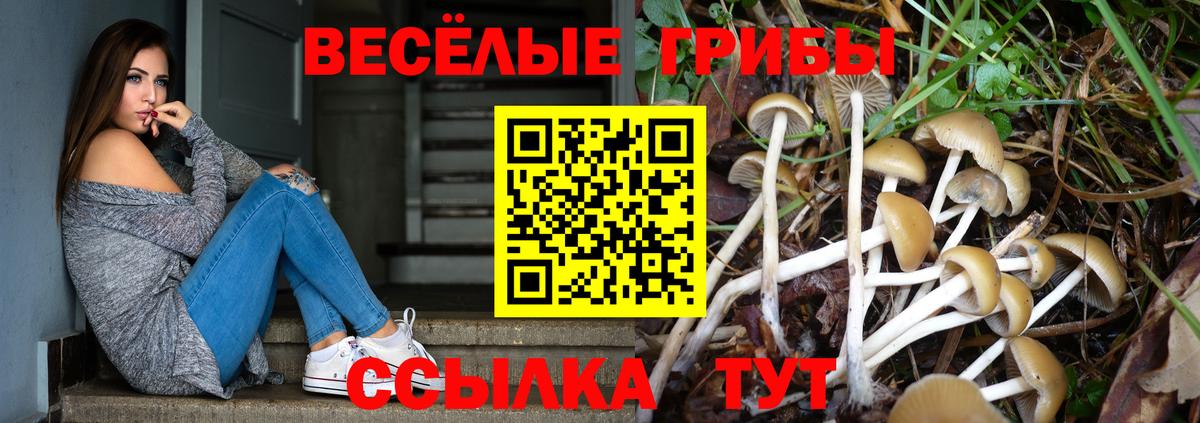 Черняховск  Галлюциногенные грибы GOLDEN TEACHER  Псилоцибиновые грибы Magic Shrooms  Вход с VPN 