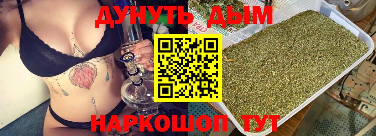МАРИХУАНА сатива  Каннабис сатива  МАРИХУАНА SATIVA & INDICA  Черняховск  Марихуана план  Вход с VPN 